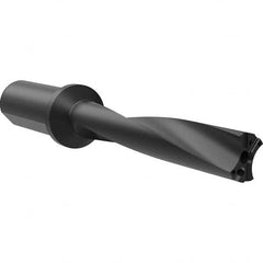 Allied Machine and Engineering - Drill Bodies Series: APX 33 Head Connection Size: 33 - Apex Tool & Supply
