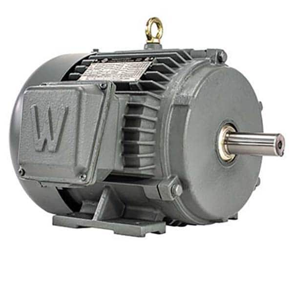 Worldwide Electric - Electric AC/DC Motors Motor Type: Premium Efficient Type of Enclosure: TEFC - Apex Tool & Supply