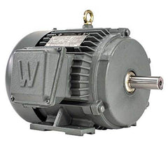 Worldwide Electric - Electric AC/DC Motors Motor Type: Premium Efficient Type of Enclosure: TEFC - Apex Tool & Supply