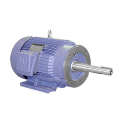 Worldwide Electric - Electric AC/DC Motors Motor Type: Premium Efficient Type of Enclosure: TEFC - Apex Tool & Supply