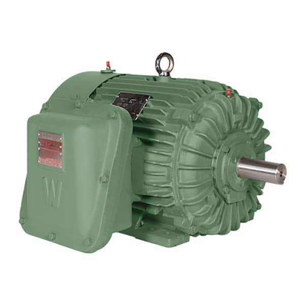 Worldwide Electric - Explosion Proof Motors NEMA Frame: 365T Horsepower: 75 - Apex Tool & Supply