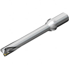 Sandvik Coromant - 175mm Max Drill Depth, 7xD, 25mm Diam, Indexable Insert Drill - Apex Tool & Supply