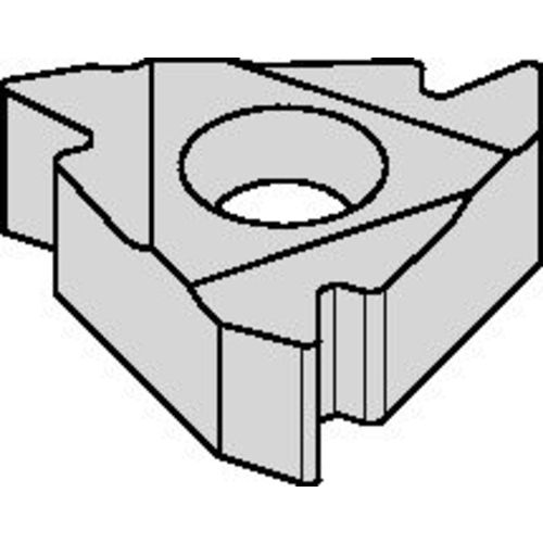 2ILA60 TN6025 Laydown Threading Insert - Apex Tool & Supply