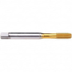 Emuge - 7/8-9 UNC 2B Modified Bottoming Thread Forming Tap - Apex Tool & Supply