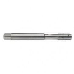 M5 x 0.8 Dia. - 6H - 4 FL - Carbide Semi-Bott Tap - Bright Finish-Coolant-Thru-FORM-C - Apex Tool & Supply