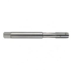 M10 x 1.5 Dia. - 6H - 4 FL - Carbide Semi-Bott Tap - Bright Finish-Coolant-Thru-FORM-C - Apex Tool & Supply