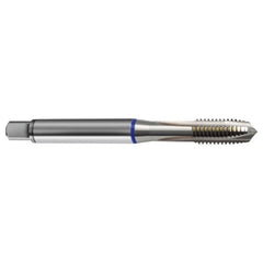 M2 x .40 3FL 6H Cobalt Spiral Point Plug Blue Ring Tap-Bright FORM-B - Apex Tool & Supply