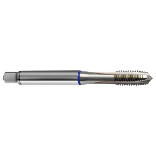 M5 x .80 3FL 6H Cobalt Spiral Point Plug Blue Ring Tap-Bright FORM-B - Apex Tool & Supply
