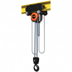 CM - 11,023 Lb Capacity, 20' Lift Height, Manual Chain Hoist - Apex Tool & Supply