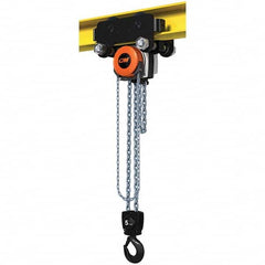 CM - 11,023 Lb Capacity, 30' Lift Height, Manual Chain Hoist - Apex Tool & Supply