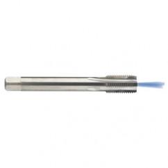 M12 x 1.75 Dia. - 6H - 4 FL - Carbide Semi-Bott Tap - Bright Finish-Coolant-Thru-FORM-C - Apex Tool & Supply