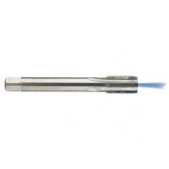 M16 x 2.0 Dia. - 6H - 4 FL - Carbide Semi-Bott Tap - Bright Finish-Coolant-Thru-FORM-C - Apex Tool & Supply