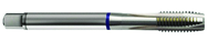 6-40 Dia. - 2B - 3 FL - Cobalt Spiral Point Plug Blue Ring Tap - Bright FORM-B DIN 374 - Apex Tool & Supply