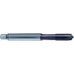 M3 × 0.5 3FL 6H PM Cobalt Spiral Pointed Plug Tap-TiAlN FORM-B DIN 371 - Apex Tool & Supply
