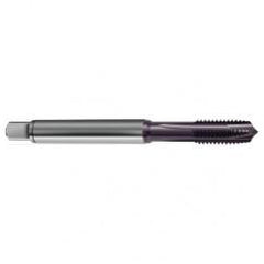 42437 3B 4-Flute PM Cobalt Spiral Point Plug Tap-TiAlN - Apex Tool & Supply