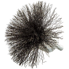 Norton - End Brushes Brush Diameter (Inch): 3 Fill Material: Carbon Steel - Apex Tool & Supply