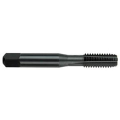 #10 NF, 32 TPI, 3 -Flute, Semi-Bottoming Straight Flute Tap Series/List #2094 - Apex Tool & Supply