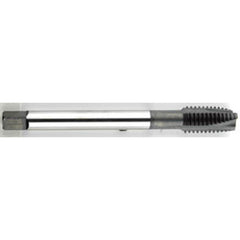 ‎10-32 Dia. - GH3 - 3 FL - Premium - HSS - TiCN - Plug - Spiral Point Tap Series/List #2088C - Apex Tool & Supply