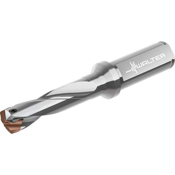 Walter - 23 to 23.99mm Diam, 3xD, 109mm Max Depth, 25mm Shank Diam, 169mm OAL, Replaceable Tip Drill - P6001-D23..R, P6003-D23..R, P6004-D23..R, P6005-D23..R Insert, D4140 Toolholder, Series D4140 - Apex Tool & Supply