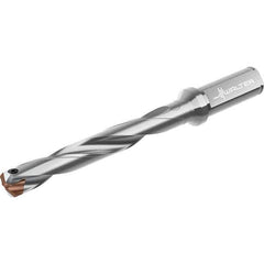 Walter - 13 to 13.99mm Diam, 7xD, 122mm Max Depth, 16mm Shank Diam, 172mm OAL, Replaceable Tip Drill - P6001-D13..R, P6003-D13..R, P6004-D13..R, P6005-D13..R Insert, D4140 Toolholder, Series D4140 - Apex Tool & Supply