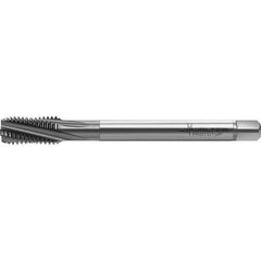Walter-Prototyp - M14x2.00 Metric 4 Flute 6HX Semi-Bottoming Spiral Flute Tap - High Speed Steel, TiCN Finish, 110mm OAL, Right Hand Flute, Right Hand Thread, Series TC122 - Apex Tool & Supply