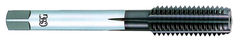 7/16-20 Dia. - 2B - 5 FL - Carbide - TiCN - Modified Bottoming - Straight Flute Tap - Apex Tool & Supply