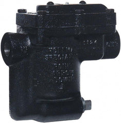 Hoffman Speciality - 2 Port, 1/2" Pipe, Stainless Steel Inverted Bucket Steam Trap - 150 Max psi - Apex Tool & Supply