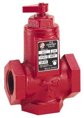 Bell & Gossett - 1" Pipe, Cast Iron Manually Operated Plumbing Valve - Buna Seal, FNPT - Apex Tool & Supply