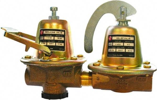 Bell & Gossett - 1/2" Inlet, 1/2" Outlet, FNPT, Dual Control Regulator Relief Valve - 125 Max psi, Lead Free Brass - Apex Tool & Supply
