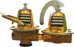 Bell & Gossett - 1/2" Inlet, 1/2" Outlet, FNPT, Dual Control Regulator Relief Valve - 125 Max psi, Lead Free Brass - Apex Tool & Supply