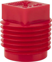 Caplugs - Square Head Plug - 1/2" OD, Polyethylene, Red - Apex Tool & Supply