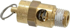 Conrader - 1/4" Inlet, ASME Safety Relief Valve - 125 Max psi, Brass, 116 Cubic' per Min - Apex Tool & Supply