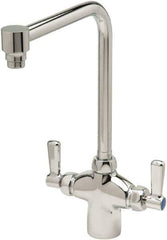 Zurn - Bent Riser, Two Handle, Chrome Plated Single Hole Mount, Laboratory Faucet - Lever Handle - Apex Tool & Supply