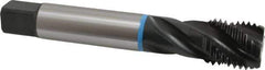 Emuge - 1-1/4 - 7 UNC 4 Flute 3B Modified Bottoming Spiral Flute Tap - Cobalt, Oxide Finish, 7.087" OAL, Right Hand Flute, Right Hand Thread, Series Enorm-VA - Apex Tool & Supply