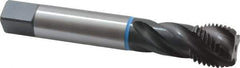 Emuge - 1-1/4 - 8 UNS 4 Flute 3B Modified Bottoming Spiral Flute Tap - Cobalt, Oxide Finish, 7.087" OAL, Right Hand Flute, Right Hand Thread, Series Enorm-VA - Apex Tool & Supply