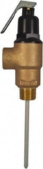 CASH ACME - 3/4" Inlet, 3/4" Outlet, MNPT x MNPT, ASME Safety Relief Valve - 150 Max psi, Bronze, 500000 BTUs - Apex Tool & Supply