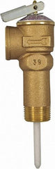 CASH ACME - 3/4" Inlet, 3/4" Outlet, FNPT x MNPT, ASME Safety Relief Valve - 150 Max psi, Bronze, 500000 BTUs - Apex Tool & Supply