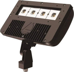 Lithonia Lighting - 1 Head, 120-277 Volt, 78 Watt, LED Floodlight Fixture - Pole Mount & Wall Mount & Ground, 3-5/16" Long x 12-7/8" Wide x 7-3/4" High, Aluminum Housing - Apex Tool & Supply