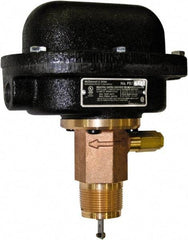 McDonnell & Miller - 300 psi, Brass Housing, Adjustable Paddle Flow Switch - 7.7 Flow Set Point, 35,004 Flow Point cc/min, 4.8 to 998 GPM, 120/240 Voltage, 1-1/4 Inch Thread Size - Apex Tool & Supply