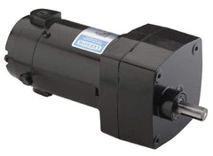 Leeson - 1/150 Max hp, 1.9 Max RPM, Electric AC DC Motor - 115 V Input, Single Phase, 31 Frame - Apex Tool & Supply