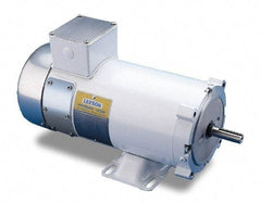 Leeson - 1/3 Max hp, 1,750 Max RPM, Electric AC DC Motor - 115 V Input, VS56C Frame - Apex Tool & Supply