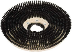 Clarke - 20" Diam Scrubbing Brush - 20" Machine, Black Pad, Polypropylene - Apex Tool & Supply