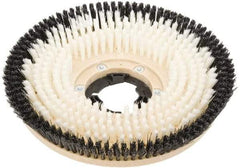 Clarke - 17" Diam Carpet Brush - 17" Machine, Black Pad, Nylon - Apex Tool & Supply