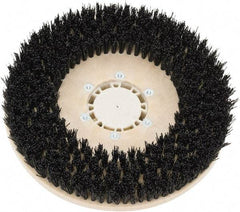 Clarke - 26" Diam Scrubbing Brush - 13" Machine, Black Pad, Polypropylene - Apex Tool & Supply