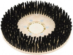 Clarke - 34" Diam Scrubbing Brush - 17" Machine, Black Pad, Nylon - Apex Tool & Supply