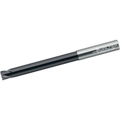 Walter-Prototyp - 4mm, 2 Flute, Single End, Solid Carbide, 0.5mm Corner Radius End Mill - 100mm OAL, 30° Helix, Right Hand Flute, 4mm LOC, Right Hand Cut, 20mm Extended Reach - Apex Tool & Supply