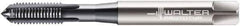 Walter-Prototyp - M9x1.25 Metric 6HX 4 Flute TiCN Finish Powdered Metal Straight Flute Machine Tap - Modified Bottoming, Right Hand Thread, 90mm OAL, 18mm Thread Length, Oversize - Apex Tool & Supply