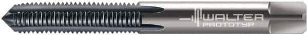 Walter-Prototyp - M6x1.00 Metric 6H 3 Flute TiCN Finish Solid Carbide Straight Flute Machine Tap - Modified Bottoming, Right Hand Thread, 80mm OAL, 19mm Thread Length, Oversize, Through Coolant - Apex Tool & Supply