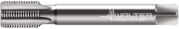 Walter-Prototyp - M22x1.50 Metric Fine 6HX 6 Flute Bright Finish Cobalt Straight Flute Machine Tap - Bottoming, Right Hand Thread, 125mm OAL, 24mm Thread Length, Oversize - Apex Tool & Supply