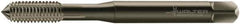 Walter-Prototyp - M3x0.50 Metric 6HX Modified Bottoming Thread Forming Tap - Cobalt, Oxide Finish, 56mm OAL, 9mm Thread Length, Right Hand Thread, Series D70617 - Apex Tool & Supply